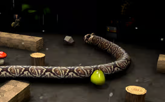 Nova Snake 3D Game
