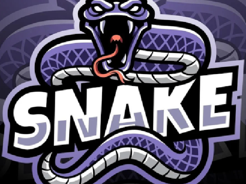 Snake Game